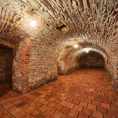 Zamek Lesany Maison d'hôtes