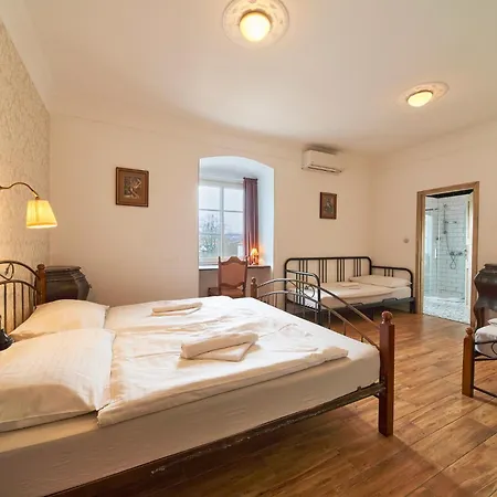 Zamek Lesany Guest house Netvorice